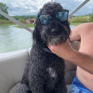 Meet your Posher, Will